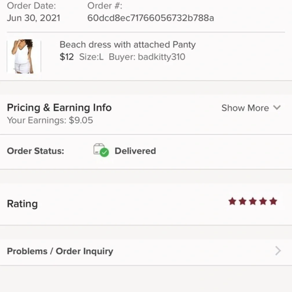 Beach dress with attached Panty - Picture 9 of 10